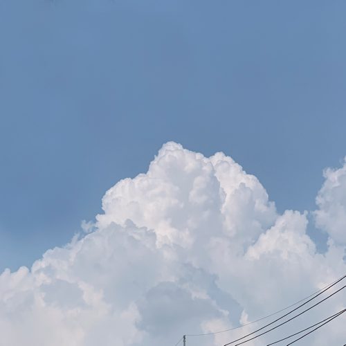 카레씨