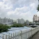 오로라