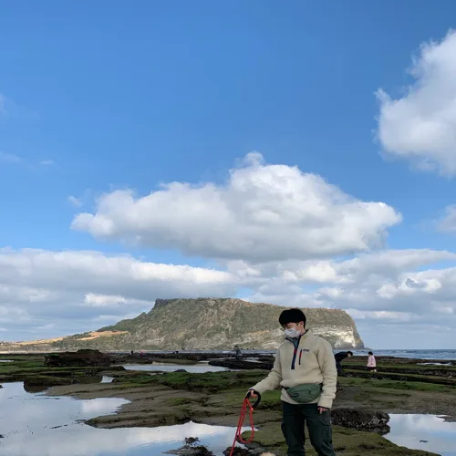 민슈