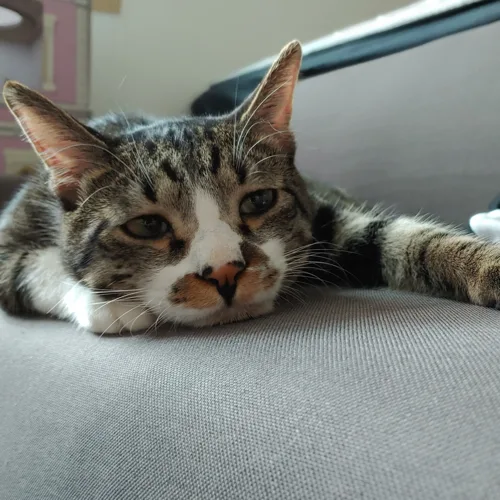 지운