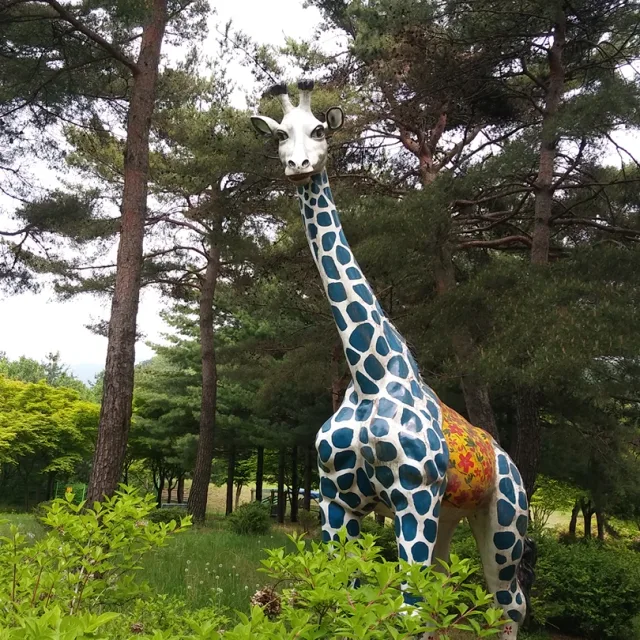햇꼬님