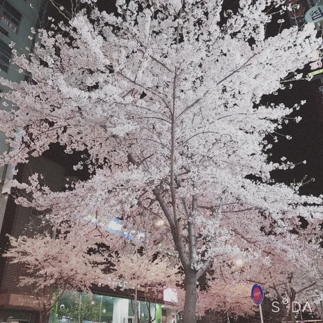 클라우드