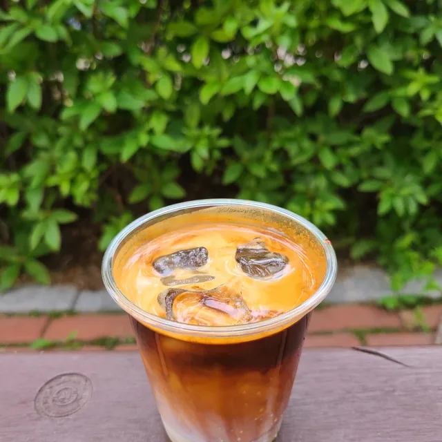 앨리스유