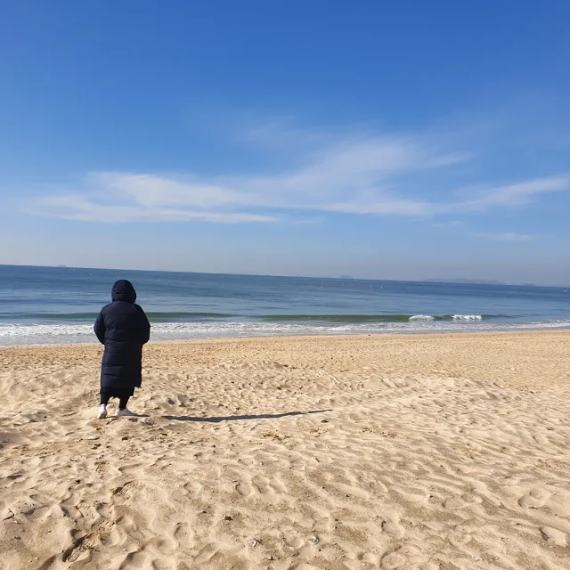 볼빨간라이언