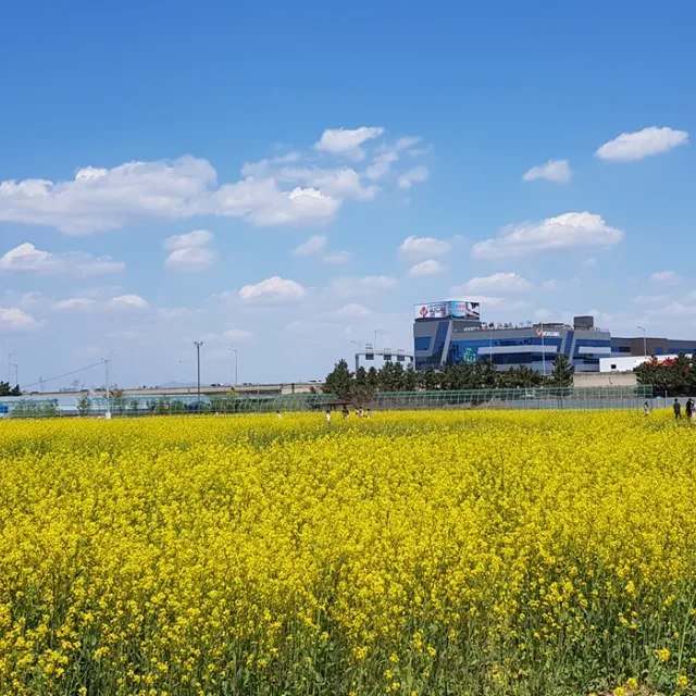 쭌쭌