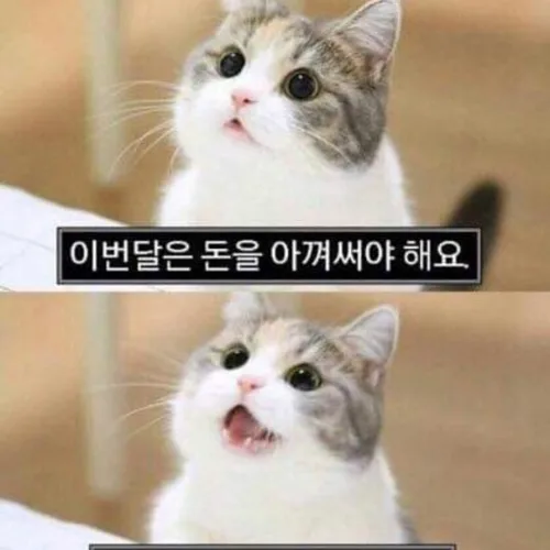 츄츄삼촌