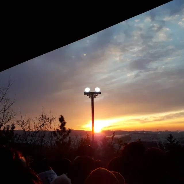 막걸리