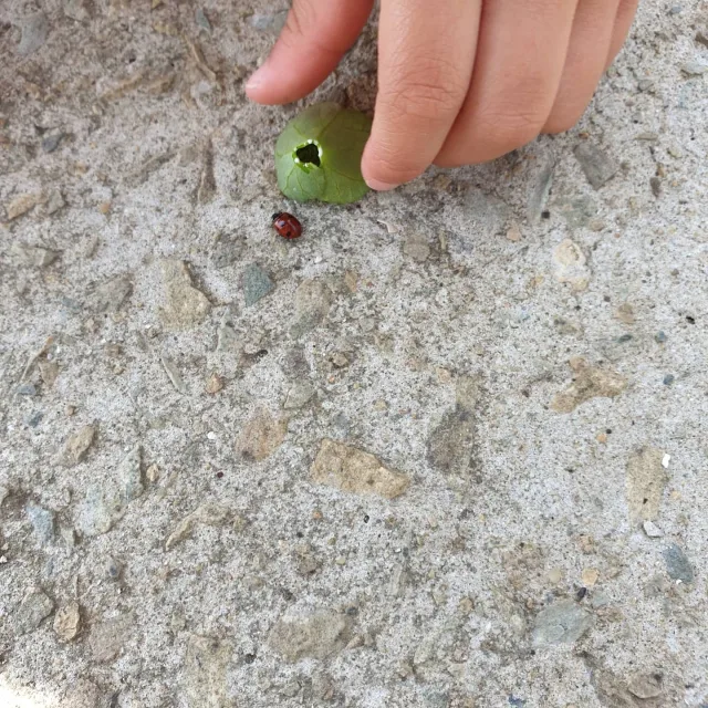 팔용동