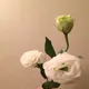 재재네