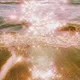소담1230