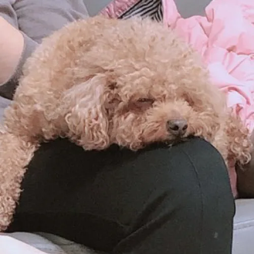 에릭