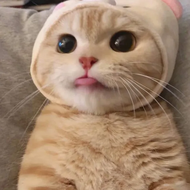 루피와상디