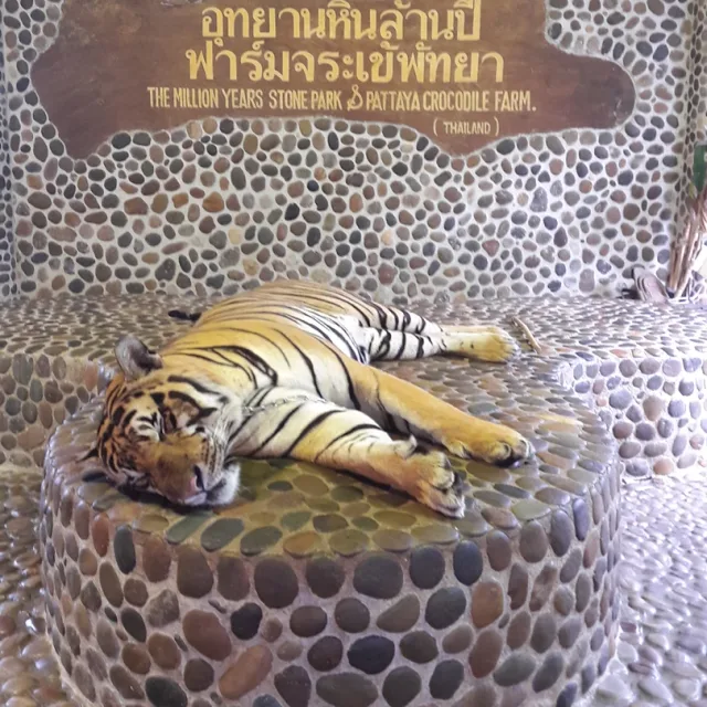 킹타이거