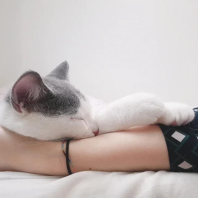 댱근