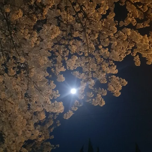 뿌뿜