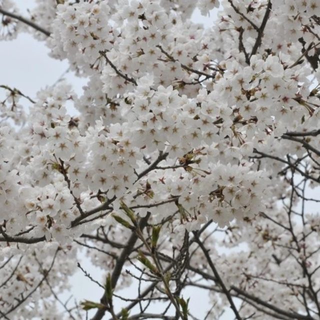 리뷰 프로필 이미지