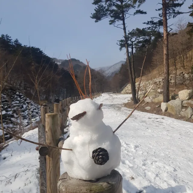 김구구