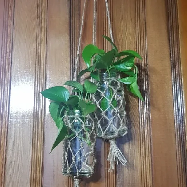 당근홀릭