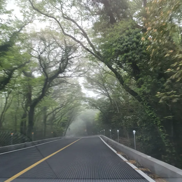 당근두끼