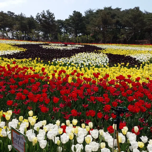 별맘
