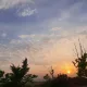 뇨옹이