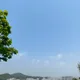 니야