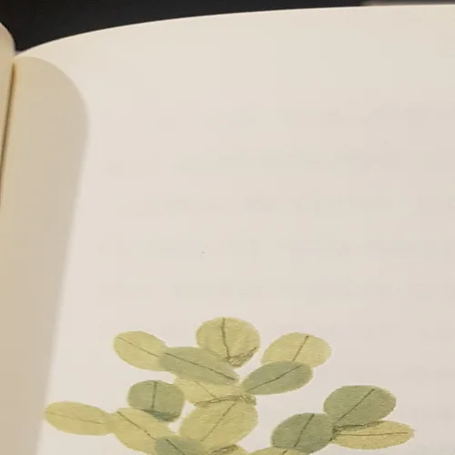 블루베리