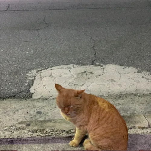 이면박