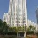 풀잎2