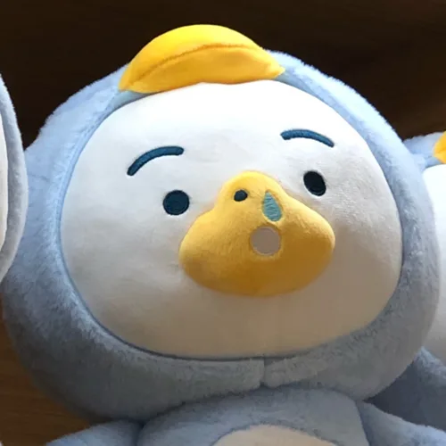 돼지