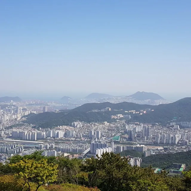 남박