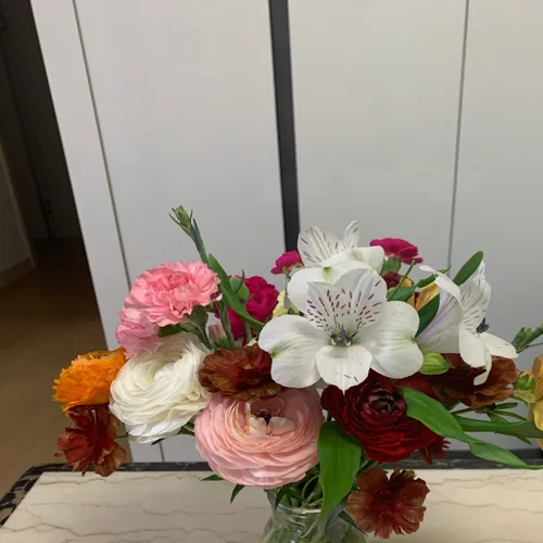 클로버