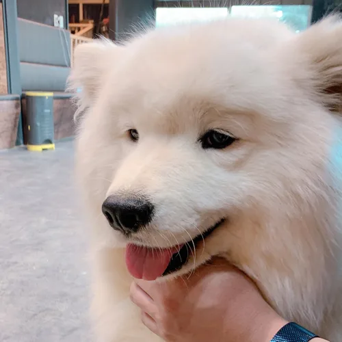 메리쓰