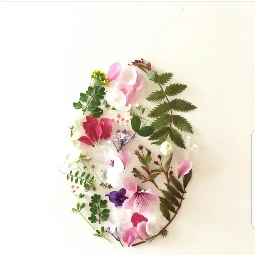 씨앗