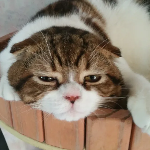 수연낙명