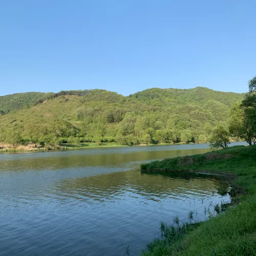 Bom
