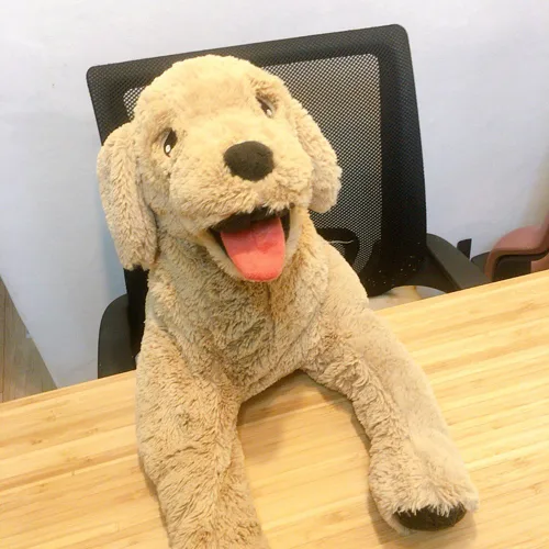 크릭