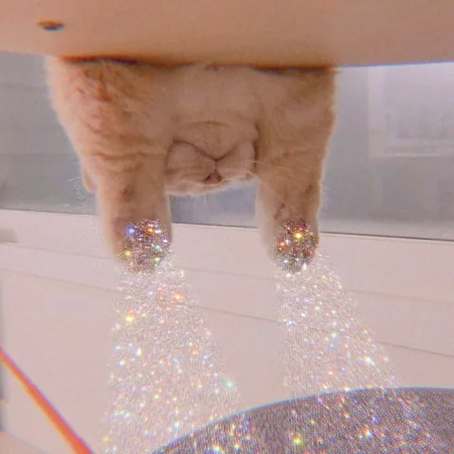 햄햄