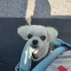 제니퍼