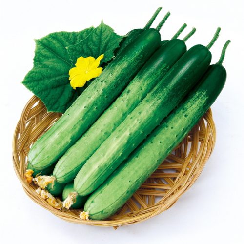 오이마켓