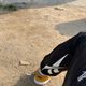 준준자라