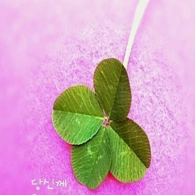 행운