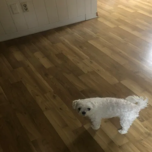 굳마인드