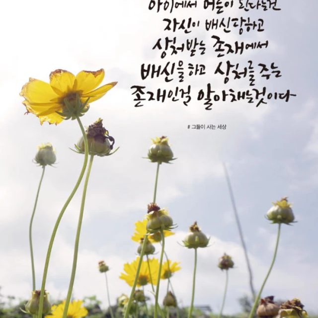 리뷰 프로필 이미지
