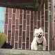 김벜