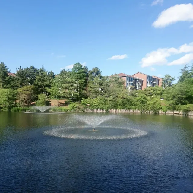 세빈치