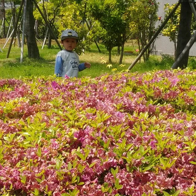 파이팅팅