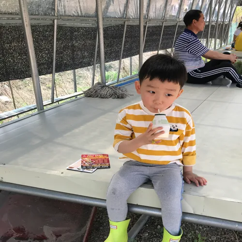 하남마늘