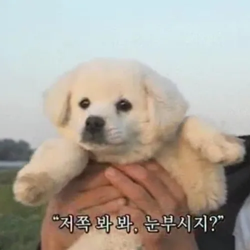 천세