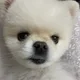 로미